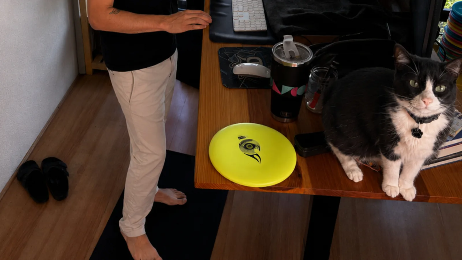 A bright Shaman disc and disc golf equipment in Fabián Oloarte’s working studio.